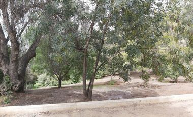 HERMOSA PARCELA VERDE Y COLORIDA CON POZO Y CONSTRUCCIONES