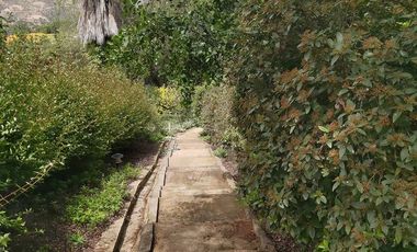 HERMOSA PARCELA VERDE Y COLORIDA CON POZO Y CONSTRUCCIONES