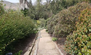 HERMOSA PARCELA VERDE Y COLORIDA CON POZO Y CONSTRUCCIONES