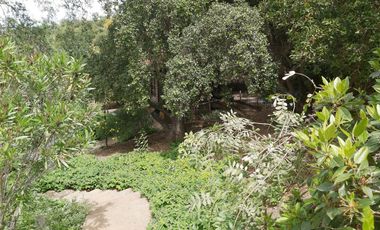 HERMOSA PARCELA VERDE Y COLORIDA CON POZO Y CONSTRUCCIONES