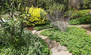 HERMOSA PARCELA VERDE Y COLORIDA CON POZO Y CONSTRUCCIONES