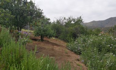 HERMOSA PARCELA VERDE Y COLORIDA CON POZO Y CONSTRUCCIONES