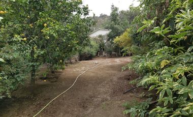 HERMOSA PARCELA VERDE Y COLORIDA CON POZO Y CONSTRUCCIONES