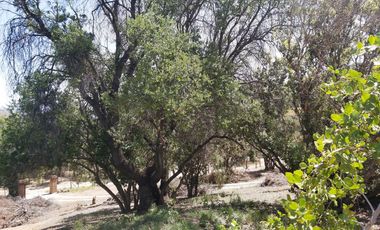 HERMOSA PARCELA CON CASA EN CONDOMINIO CONSOLIDADO