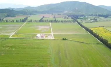 HERMOSO CAMPO DE 48 HECTAREAS PLANAS CON DERECHOS DE AGUA AGUA