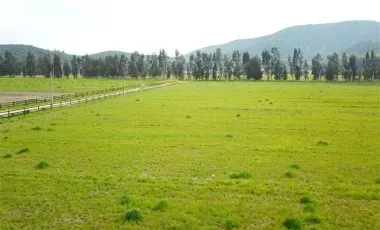 HERMOSO CAMPO DE 48 HECTAREAS PLANAS CON DERECHOS DE AGUA AGUA