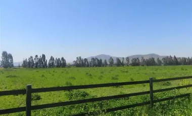 HERMOSO CAMPO DE 48 HECTAREAS PLANAS CON DERECHOS DE AGUA AGUA