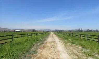HERMOSO CAMPO DE 48 HECTAREAS PLANAS CON DERECHOS DE AGUA AGUA