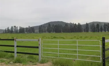 HERMOSO CAMPO DE 48 HECTAREAS PLANAS CON DERECHOS DE AGUA AGUA