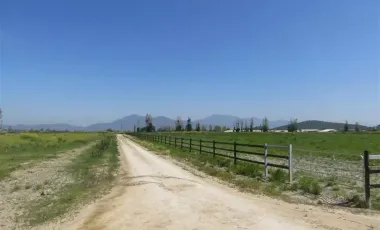 HERMOSO CAMPO DE 48 HECTAREAS PLANAS CON DERECHOS DE AGUA AGUA