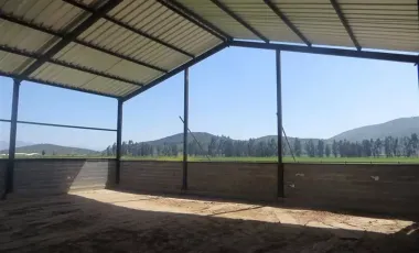 HERMOSO CAMPO DE 48 HECTAREAS PLANAS CON DERECHOS DE AGUA AGUA