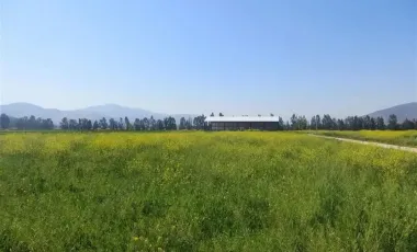 HERMOSO CAMPO DE 48 HECTAREAS PLANAS CON DERECHOS DE AGUA AGUA
