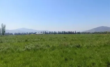 HERMOSO CAMPO DE 48 HECTAREAS PLANAS CON DERECHOS DE AGUA AGUA