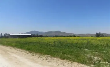 HERMOSO CAMPO DE 48 HECTAREAS PLANAS CON DERECHOS DE AGUA AGUA