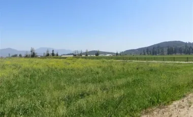 HERMOSO CAMPO DE 48 HECTAREAS PLANAS CON DERECHOS DE AGUA AGUA