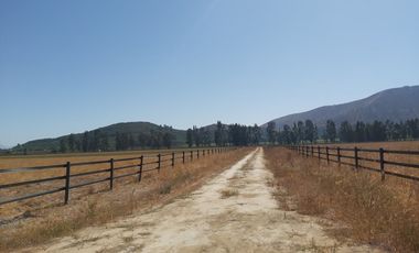 HERMOSO CAMPO DE 48 HECTAREAS PLANAS CON DERECHOS DE AGUA AGUA