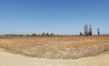 HERMOSO CAMPO DE 48 HECTAREAS PLANAS CON DERECHOS DE AGUA AGUA