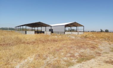 HERMOSO CAMPO DE 48 HECTAREAS PLANAS CON DERECHOS DE AGUA AGUA