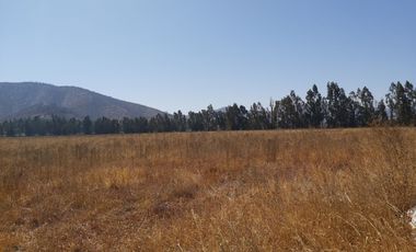 HERMOSO CAMPO DE 48 HECTAREAS PLANAS CON DERECHOS DE AGUA AGUA