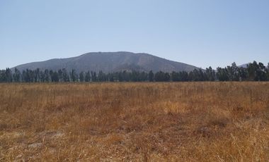 HERMOSO CAMPO DE 48 HECTAREAS PLANAS CON DERECHOS DE AGUA AGUA