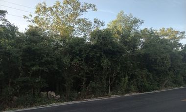GRAN TERRENO DE UNA HECTAREA, PARA GRANDES PROYECTO