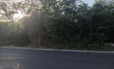 GRAN TERRENO DE UNA HECTAREA, PARA GRANDES PROYECTO