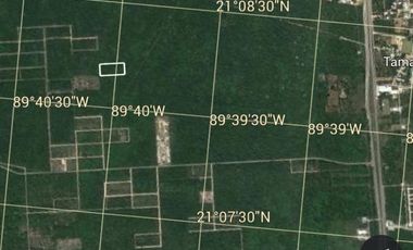 TERRENO DE POCO MAS DE 2 HECTAREAS, EN ZONA DE ALTO CRECIMIENTO AL NORTE DE MERIDA