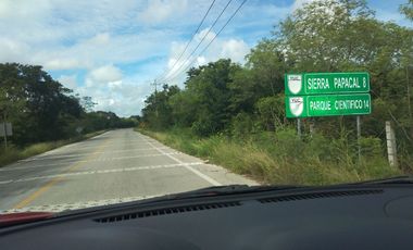 TERRENO DE POCO MAS DE 2 HECTAREAS, EN ZONA DE ALTO CRECIMIENTO AL NORTE DE MERIDA
