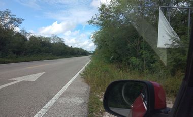 TERRENO DE POCO MAS DE 2 HECTAREAS, EN ZONA DE ALTO CRECIMIENTO AL NORTE DE MERIDA