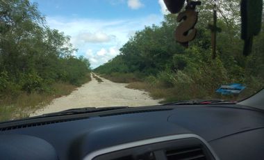TERRENO DE POCO MAS DE 2 HECTAREAS, EN ZONA DE ALTO CRECIMIENTO AL NORTE DE MERIDA