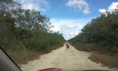 TERRENO DE POCO MAS DE 2 HECTAREAS, EN ZONA DE ALTO CRECIMIENTO AL NORTE DE MERIDA