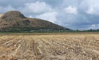 Lote Agricola a un costado del Cerro del Elefante, en venta, La Ponderosa, Querétaro