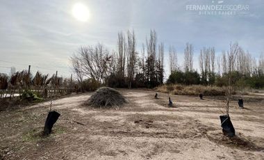 LOS ANDES - VENTA / ARRIENDO DE TERRENO URBANO 14.000M2
