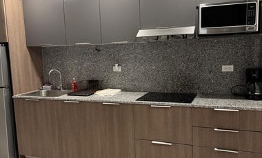 Departamento Amueblado tipo Loft Torre Dana Arboleda San Pedro Garza Garcia