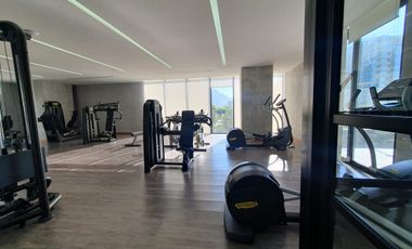 Departamento Amueblado tipo Loft Torre Dana Arboleda San Pedro Garza Garcia