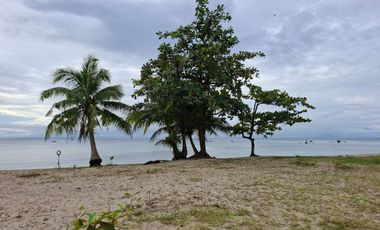 Studio Unit Beachfront Condotel Investment
