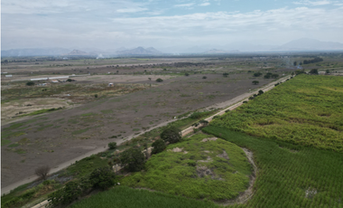 En venta 11 hectáreas a filo de Pista Picsi - Ferreñafe