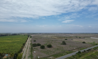 En venta 11 hectáreas a filo de Pista Picsi - Ferreñafe