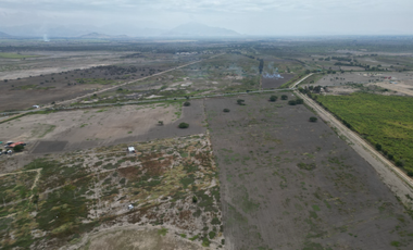 En venta 11 hectáreas a filo de Pista Picsi - Ferreñafe
