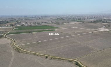 En Venta Terreno de 6 Hectáreas en José Leonardo Ortiz