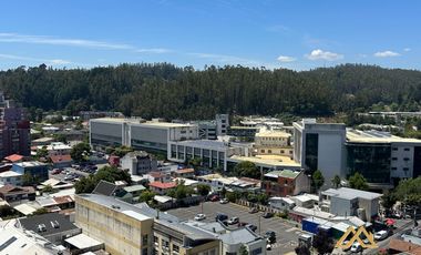 Departamento Cercano A Universidad De Concepción Y Hospital