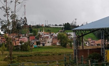 lote buenavista