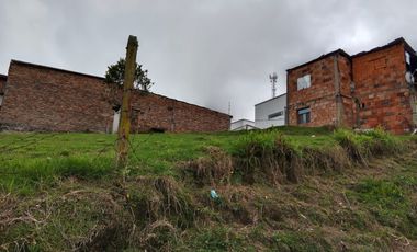 lote buenavista