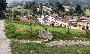 lote buenavista