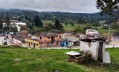 lote buenavista