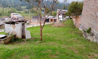 lote buenavista
