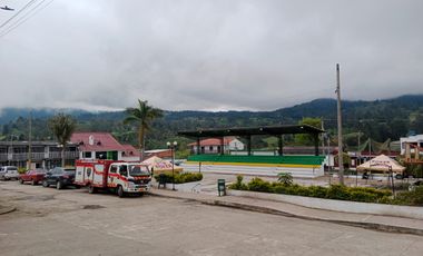 lote buenavista