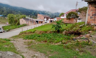 lote buenavista