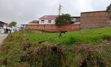 lote buenavista