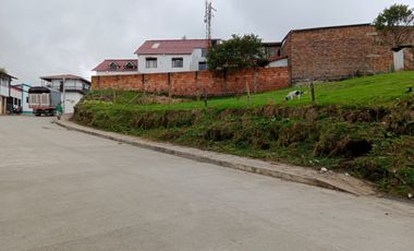 lote buenavista